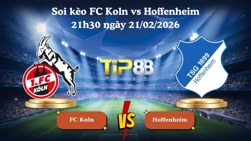 TIP88 Nhận định soi kèo FC Koln vs Hoffenheim 21h30 ngày 21/02/2026 - Bundesliga