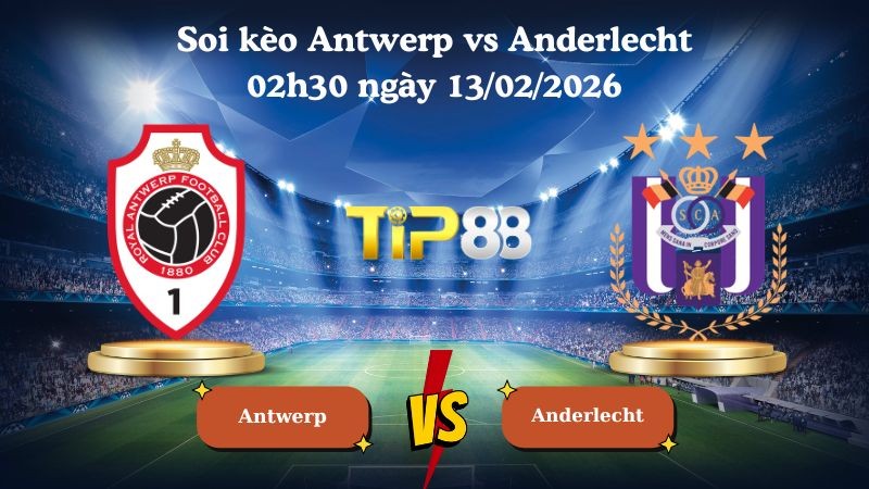 TIP88 Nhận định soi kèo Antwerp vs Anderlecht 02h30 ngày 13/02/2026 - Cúp Bỉ