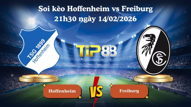 TIP88 Nhận định soi kèo Hoffenheim vs Freiburg 21h30 ngày 14/02/2026 - Bundesliga