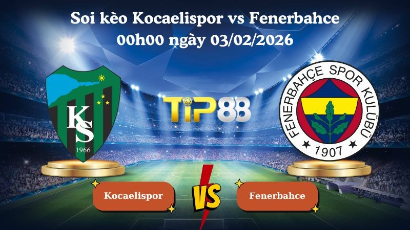 TIP88 Nhận định soi kèo Kocaelispor vs Fenerbahce 00h00 ngày 03/02/2026 - VĐQG Thổ Nhĩ Kỳ