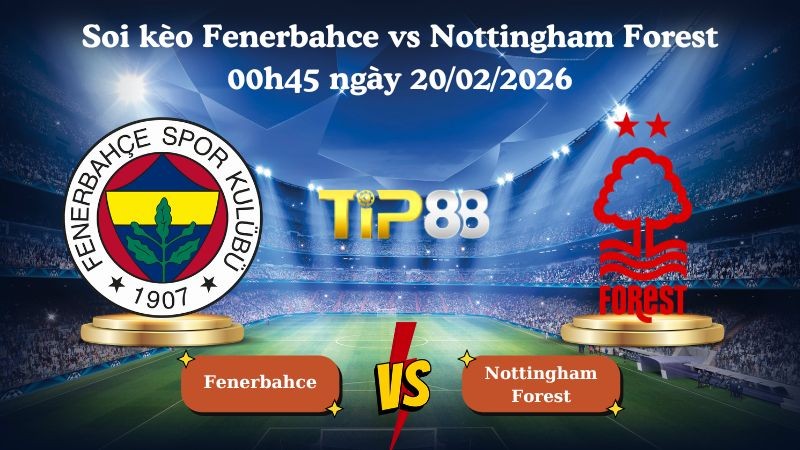 TIP88 Nhận định soi kèo Fenerbahce vs Nottingham Forest 00h45 ngày 20/02/2026 - Europa League